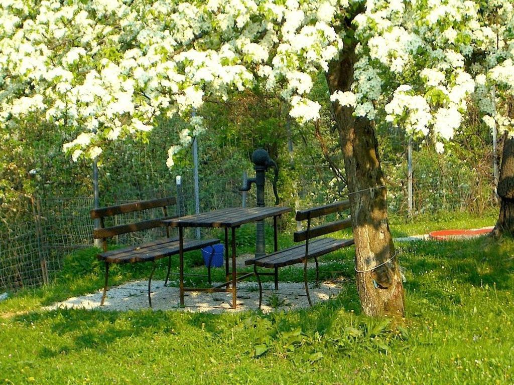 Ferienhaus Huber Bleiburg Esterno foto
